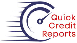 quickreports - company credit checks